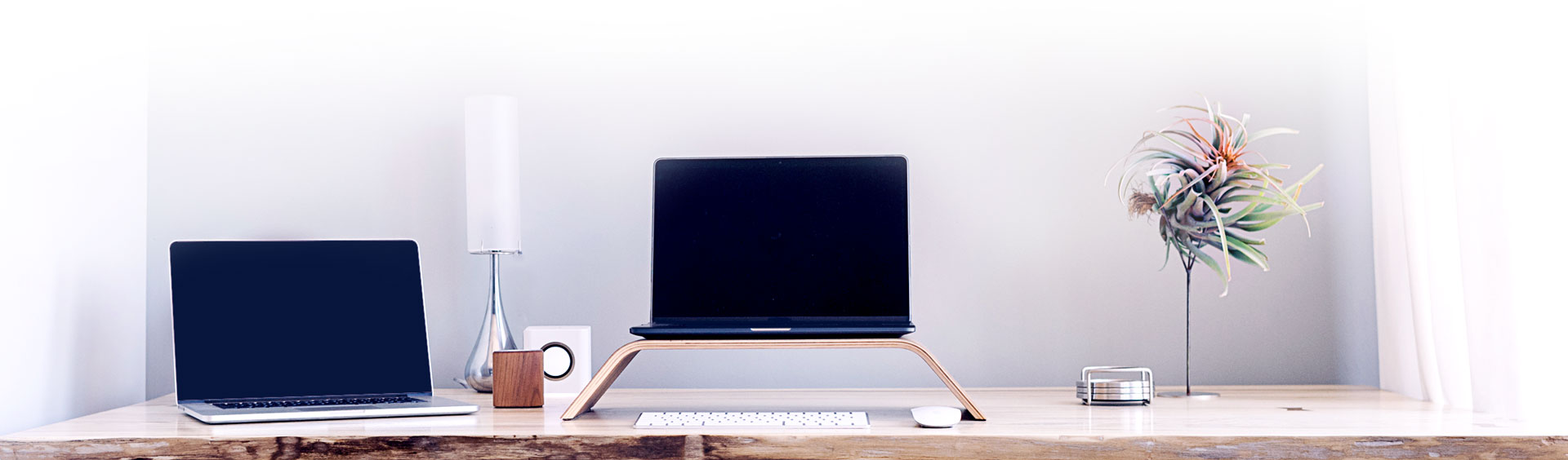 Web designer e consulente SEO web designer